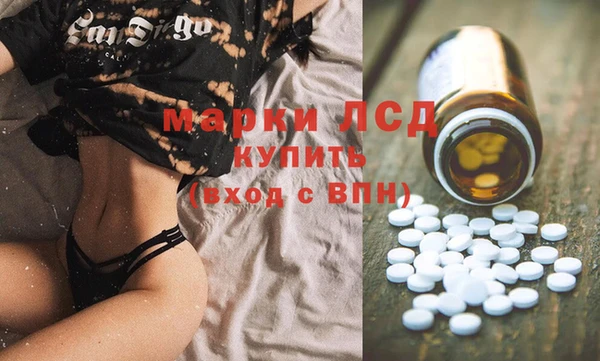 СК Аркадак