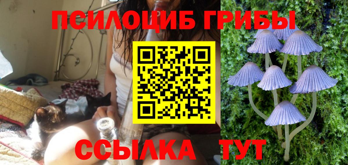 Михайловск  сколько стоит  Вход с VPN  Псилоцибиновые грибы ЛСД 